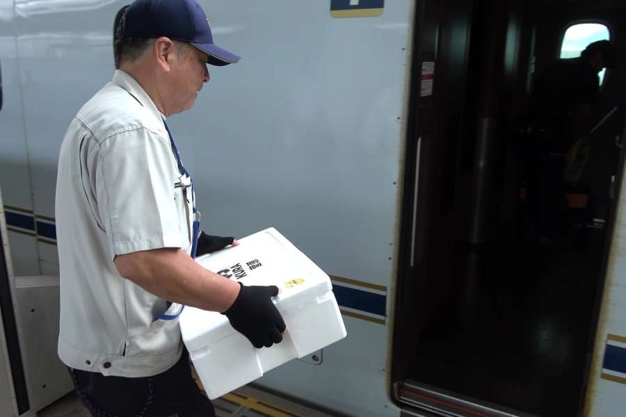 Kura Sushi Sells Fresh Fish from Kagoshima Transported by Shinkansen