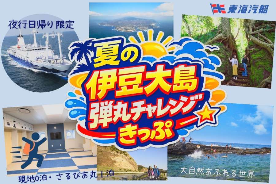 東海汽船 夏の伊豆大島弾丸チャレンジきっぷ