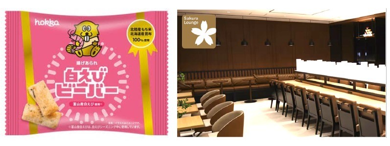 JAL Offers Shiroebi Beaver Snacks at Komatsu Airport Sakura Lounge